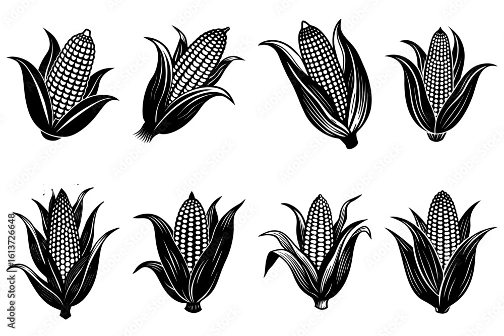 Poster eight black and white corn cobs with husks and kernels arranged in a symmetrical pattern on a white 
