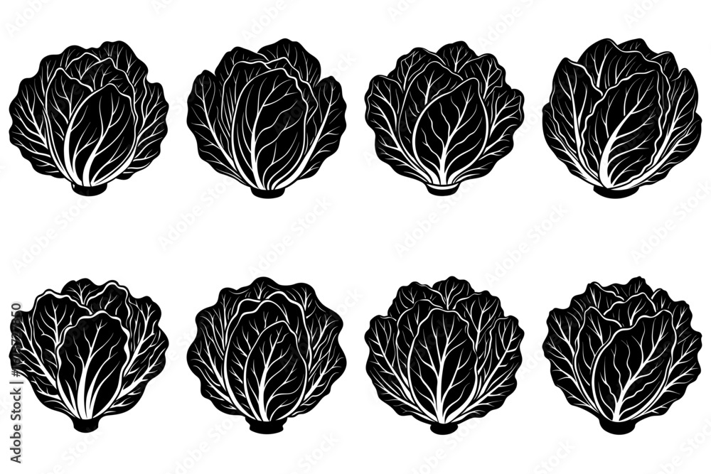Poster a set of eight stylized black and white cabbages arranged in two rows on a plain white background