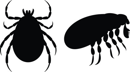 Tick and flea silhouette, parasite insect vector, black pest graphic, veterinary icon design, bug outline illustration, pest control concept © Md