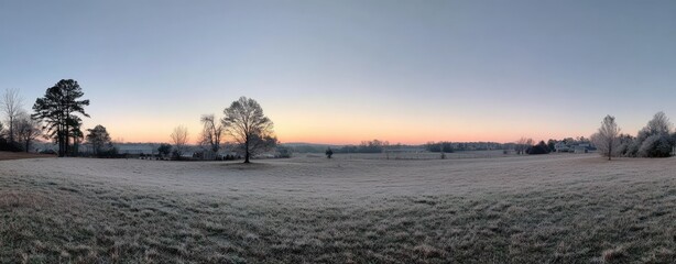 Frosty field at dawn