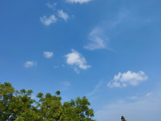 Dense trees in the corner of the blue sky background