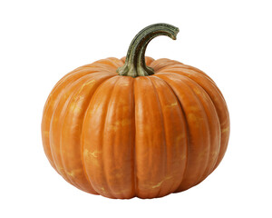 Realistic Orange Pumpkin Isolated – Harvest Autumn Clipart