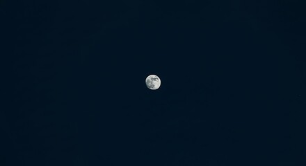 A bright full moon illuminates the dark night sky, showcasing its detailed surface.