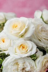 Closeup of white roses in bouquet against pink background