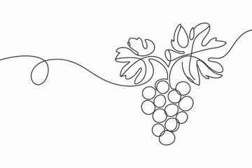 Continuous line drawing of grapes and vine isolated on white background