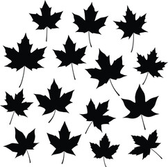 A collection of various female legwear, showcasing diverse knee-high and thigh-high socks in an array of colorful patterns and textures, ideal for fashion, apparel, and accessory designs.