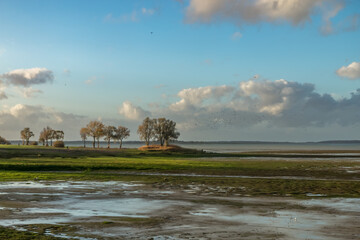 Lac du Der-Chantecoq , Marne , Grand Est , France
