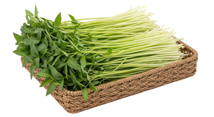 Isolated Water Spinach