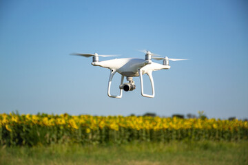 White drone flying over a sunflower field on a clear summer day. Modern agricultural technology...