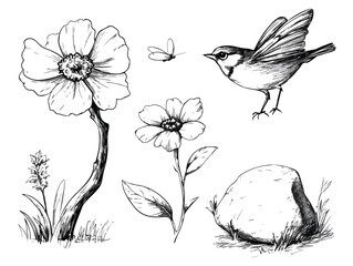 Hand-drawn vector set of nature elements including flowers, bird, butterfly, rock, and grass, perfect for nature-themed designs, illustrations, and prints