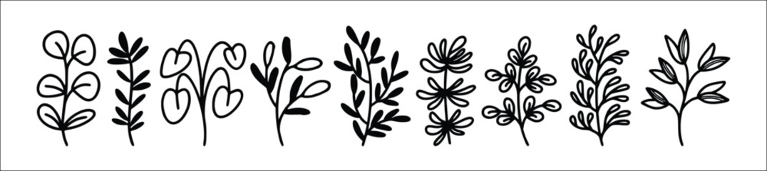 floral silhouette vector