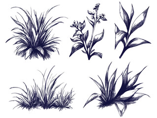 Hand Drawn Grass and Flower Vector Illustration Set Isolated on White Background for Print Web Design Banner Poster Sticker Card and Textile Design