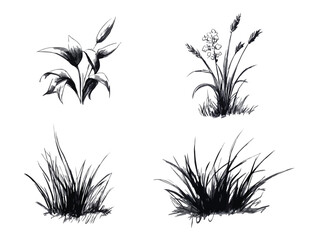 Hand Drawn Grass and Flowers Vector Illustration Set Isolated on White Background