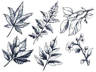 Naklejka premium Hand Drawn Indigo Blue Floral Elements Vector Illustration Set Isolated on White Background Ideal for Wedding Invitations Greeting Cards Scrapbooking and