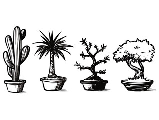 Hand Drawn Potted Plants Cactus Palm Tree Bonsai Vector Illustration Black and White Sketch Style for Prints Web Design Banners Posters Stickers Cards and