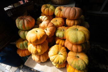 Group of yellow pumpkins together for sale at a traditional fair. Healthy food.