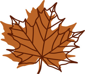 Maple leaf on white background