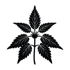 Stinging Nettle Plant Silhouette Vector Graphic Free Download on White Background