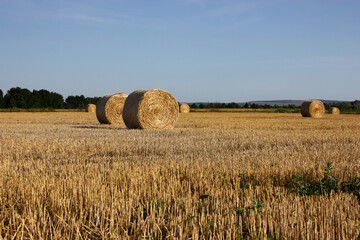 a wheat field after harvest with bales of straw