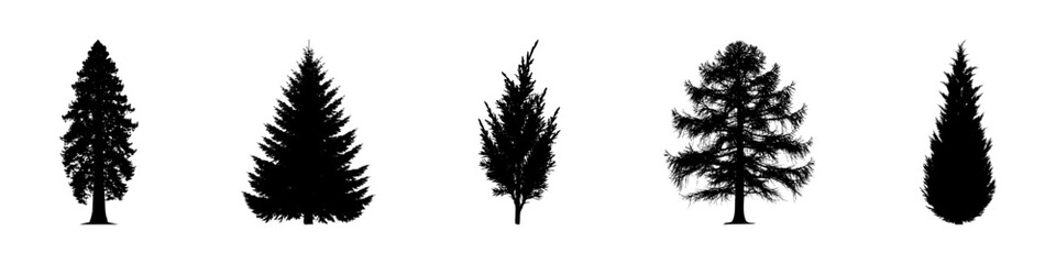Conifer Tree Silhouettes Collection— Pine, Fir, Spruce, Cedar, Larch. Different Detailed Pine Tree.