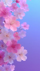 minimal 3d illustration of soft dreamy  cherry blossoms blooming background