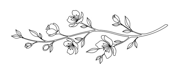 Botanical graphic sketch drawing. Floral element. Tattoo design.