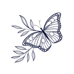 Butterfly vector illustration on white background with colorful wings and nature elements