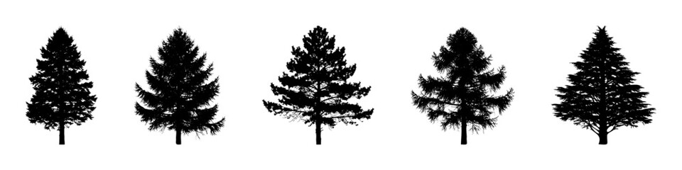 Conifer Tree Silhouettes Collection&mdash; Pine, Fir, Spruce, Cedar, Larch. Different Detailed Pine Tree.