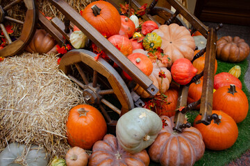 Large orange pumpkins emptied a rustic cart. Big harvest concept, Thanksgiving, Halloween, card with space for text.