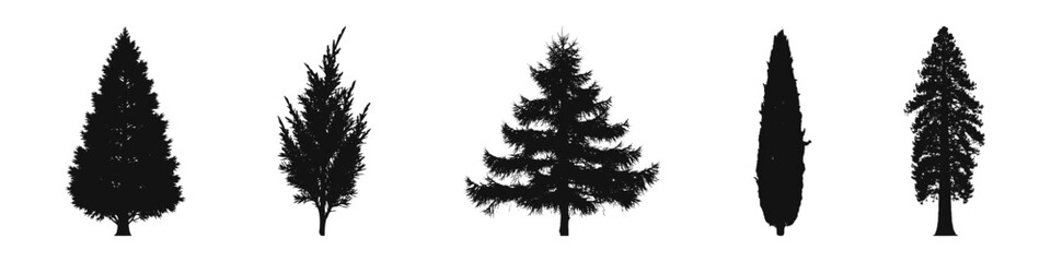 Conifer Tree Silhouettes Collection— Pine, Fir, Spruce, Cedar, Larch. Different Detailed Pine Tree.