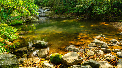 small river in the forest