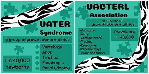 VATER Syndrome or VACTERL Association set of leaflets or posters with informational materials about a rare disease