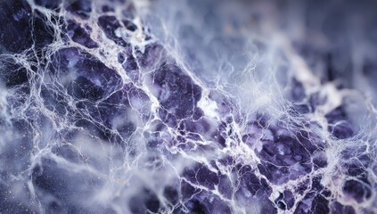 Abstract close-up of textured stone