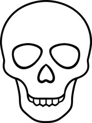 human skull vector illustration