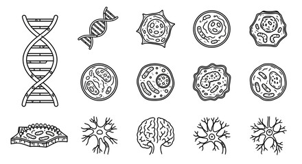 A collection of black line icons depicting DNA strands, various biological cells, and neurons