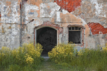 Old ruined house without roof in wild grass in summer