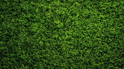 A top down view of a lush green grass field with varying shades of light and dark green