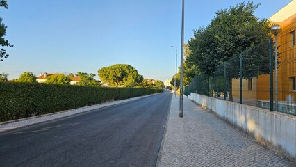 Empty Suburban Street with Sidewalk and Residential Trees