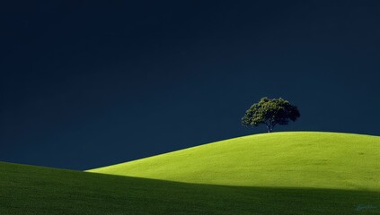 Solitary tree atop a grassy hill, dramatic sky