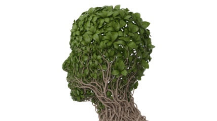 Green Head Formed From Leaves And Branches isolated on a transparent background profile