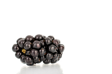 Sweet fresh blackberry isolated on white background.