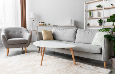 Beautiful cozy living room modern interior with comfortable gray sofa and armchair, coffee table and bookshelf, decorated with carpet, green plants and cushions, empty room. Interiors concept