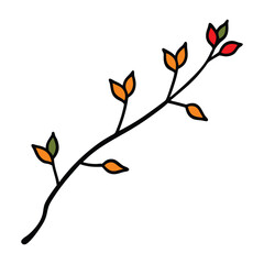 vector illustration of a leaf