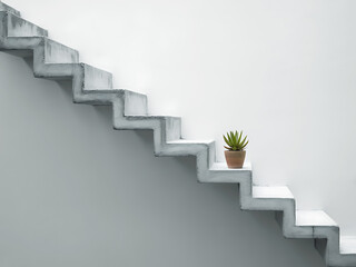 Obraz premium Lone potted plant ascends stark concrete staircase under bright light