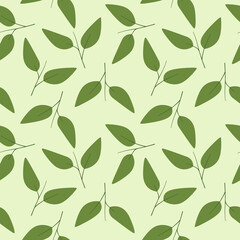 Fototapeta premium Minimalist matcha green leaves seamless pattern