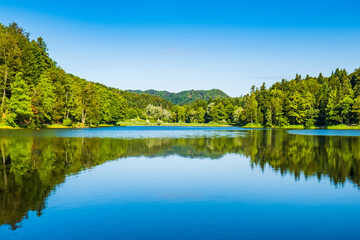 Reflection of forest on Trakoscan lake in Zagorje, Croatia, amazing nature landscape