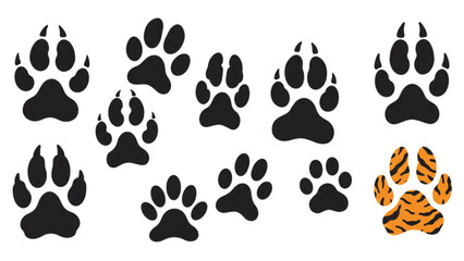 Fototapeta premium Wild animal paw prints trail with a tiger paw, fierce animal track design, powerful mammal footprint