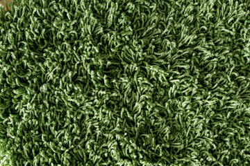 High-resolution image of green shag carpet, perfect for texture backgrounds and design projects.