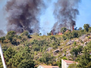 Fototapeta premium Orange Flames Rising from Drought-Stricken Forest