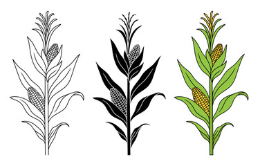 Cartoon Corn Stalk Plant Clipart Illustration with Outline, Silhouette Stamp and Color Variations on a Transparent Background